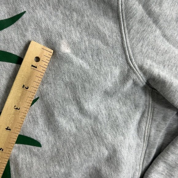 Champion Reverse Weave Double Sided Graphic Pullover Hoodie Sweatshirt Red Gray - Picture 12 of 13